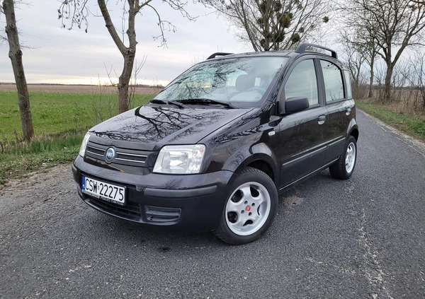 Fiat Panda cena 7900 przebieg: 158000, rok produkcji 2004 z Chełmno małe 352